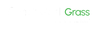 Pickleball Grass